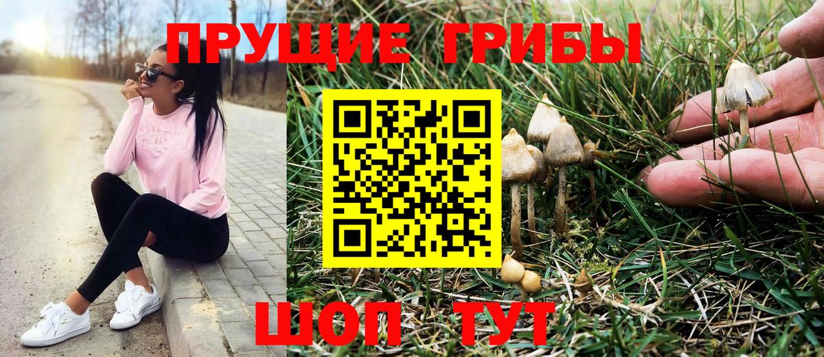 Псилоцибиновые грибы Magic Shrooms Тамбов