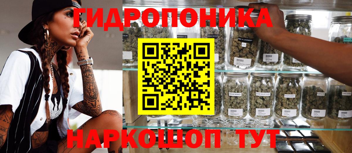 Шишки марихуана тримм  Бошки марихуана тримм  Каннабис ГИДРОПОН  МАРИХУАНА Bruce Banner  Вход с VPN  Тамбов 